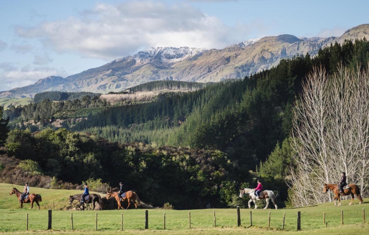 Mohaka River Farm Te Haroto 외부 사진
