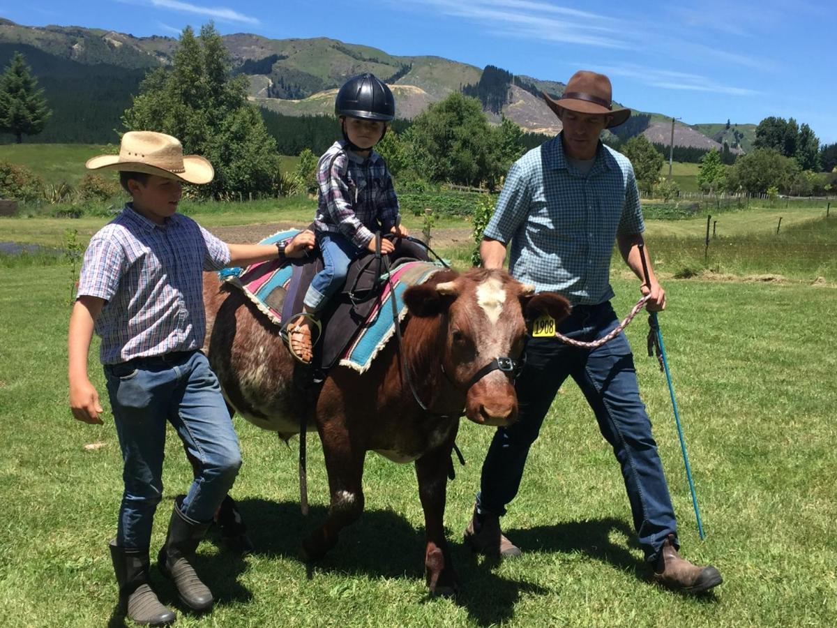 Mohaka River Farm Te Haroto 외부 사진