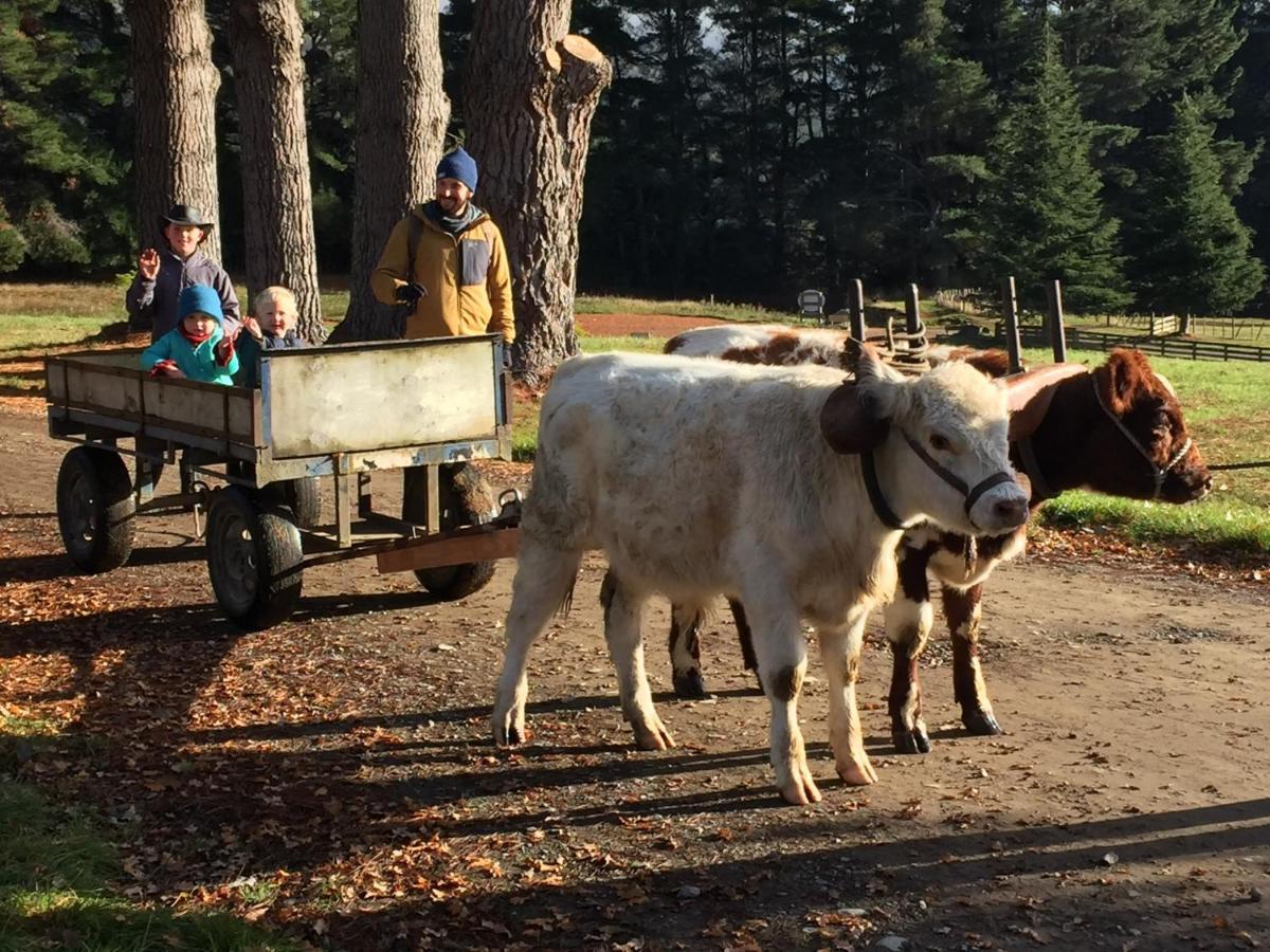 Mohaka River Farm Te Haroto 외부 사진