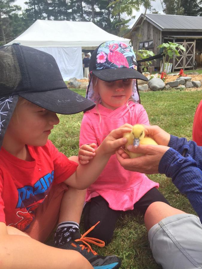 Mohaka River Farm Te Haroto 외부 사진