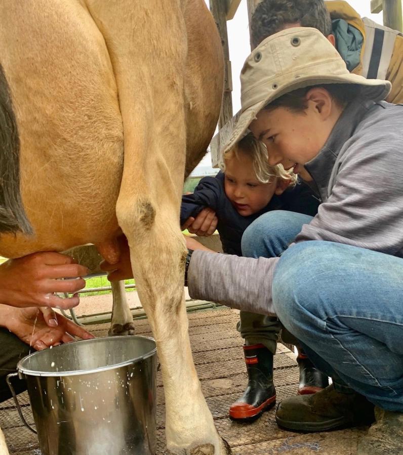 Mohaka River Farm Te Haroto 외부 사진