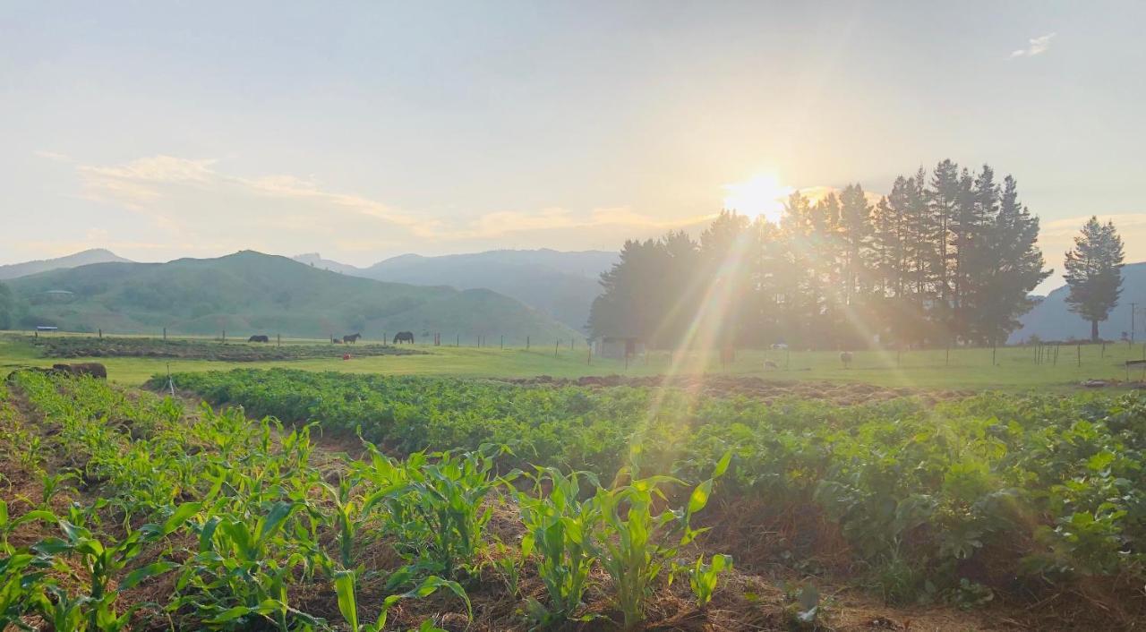 Mohaka River Farm Te Haroto 외부 사진