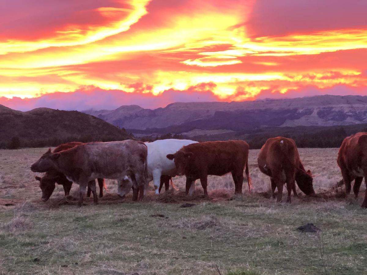 Mohaka River Farm Te Haroto 외부 사진