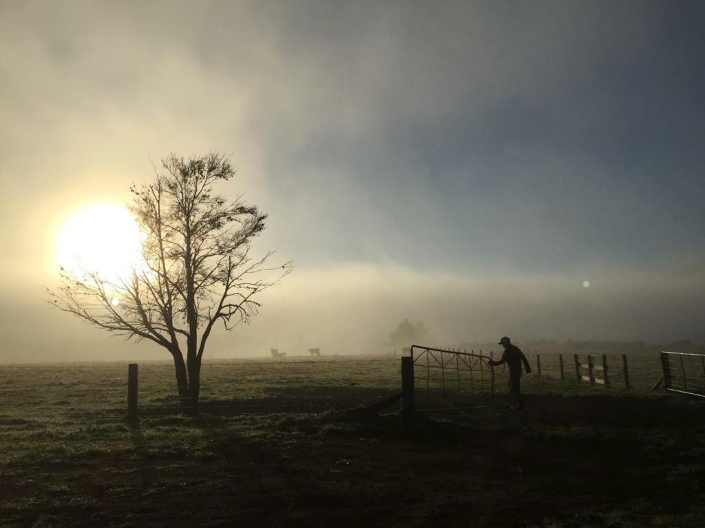 Mohaka River Farm Te Haroto 외부 사진