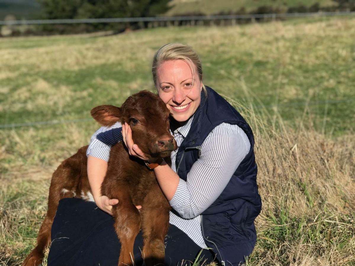 Mohaka River Farm Te Haroto 외부 사진